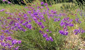 6461 Chesebro Rd, Agoura Hills, CA 91301