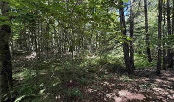 392 Sicard Rd, Brookfield, VT 05036