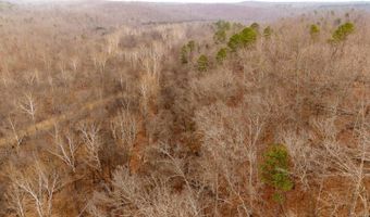 County Road 19-A, Alton, MO 65606