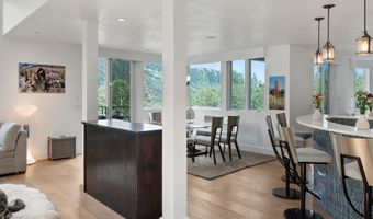 257 MOUNTAIN LAUREL Dr, Aspen, CO 81611