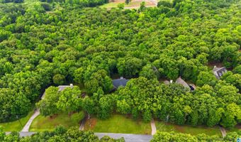205 CHESTNUT Cir, Alabaster, AL 35007