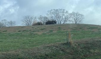 Mountain View Lane, Baneberry, TN 37890