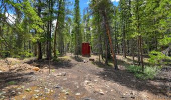 2221 Kootchie Kootchie Rd Lot 0, Alma, CO 80420