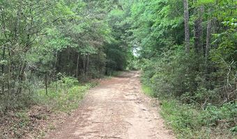 R13945 A0049 J Peterson Tract 11 Acres, Anderson, TX 77830