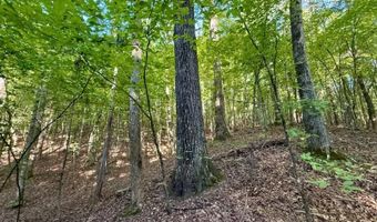 874 E Hwy 30, Booneville, MS 38829