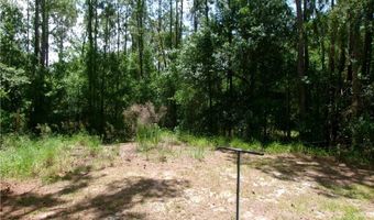 1768 N Riverdale Rd, Avon Park, FL 33825
