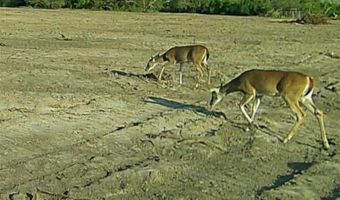 325 County Road 129, Alice, TX 78332