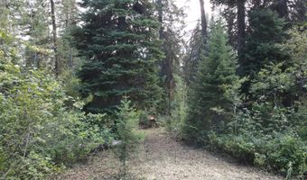 PINE Street lot 4, Alpine, WY 83128