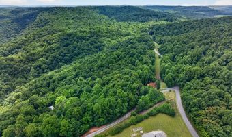 802 Livingston Boat Dock Rd, Allons, TN 38541