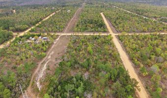 Channel Drive, Alford, FL 32420