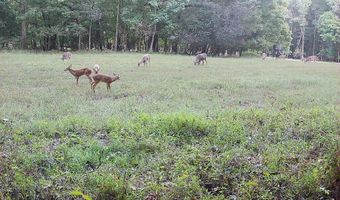 425 Rose Hill Rd, Bentonia, MS 39040