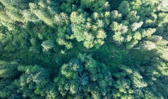 N Dubois Rd, Ariel, WA 98603