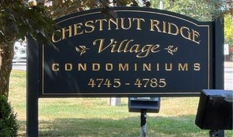 4765 Chestnut Ridge Rd 6, Amherst, NY 14228