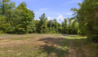 2233 Holloman Rd, Bentonia, MS 39040