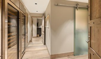 630 E Hyman Avenue Unit 203 & 206 203 & 206, Aspen, CO 81611