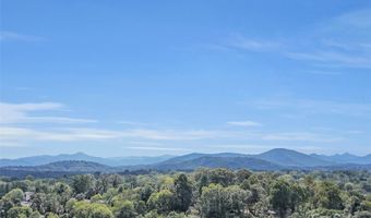 17 Elkmont Ter, Asheville, NC 28804