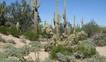 240 S Alley Rd, Ajo, AZ 85321