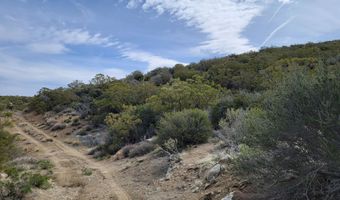 000 Palace Dr, Mountain Center, CA 92561