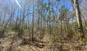 0 Tervin Mill Rd, Andalusia, AL 36421