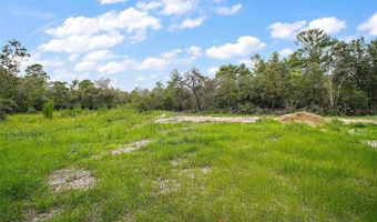 52151 STATE ROAD 19, Altoona, FL 32702