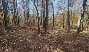 9- A Dulwich Dr, Amherst, VA 24521