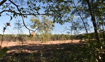 000 SW CR 241, Archer, FL 32618