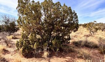 Tbd 207-69-014E, Chambers, AZ 86502