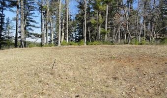 Lot 15 Fly Rod Trail, Wisconsin Rapids, WI 54494