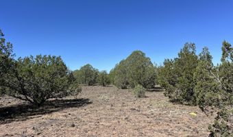 18 A Warren Run Rd, Ash Fork, AZ 86320