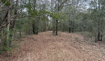 Pasofino Lane, Alford, FL 32420