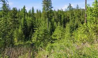 NNA Stone Rd Lot 2 20.0 Acres, Blanchard, ID 83804