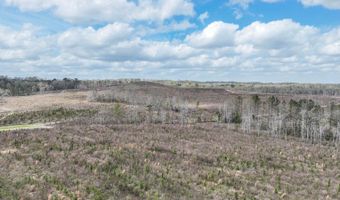 919 County Road 6628, Banks, AL 36005