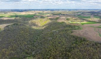 Maplewood Lane, Alma, WI 54610