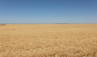 1 Vacant Land Penrith, Bennett, CO 80102