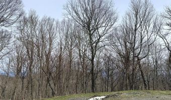 Chappell Farms N lot 5, Banner Elk, NC 28604