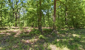 County Road 101, Alton, MO 65606