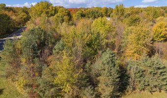 9653 52nd Ave, Allendale, MI 49401