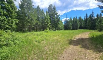 7248 E Honeysuckle Rd, Athol, ID 83801