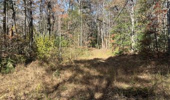 523 Honey Creek Loop Rd, Allardt, TN 38504
