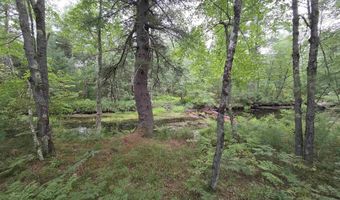 37 New Rd, Barnstead, NH 03225