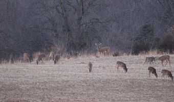 189 Th St, Albia, IA 52531