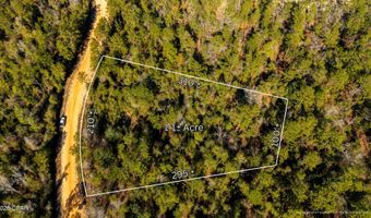 Rossville Avenue, Alford, FL 32420
