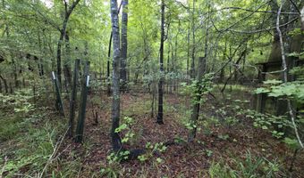 River Rd, Bascom, FL 32423