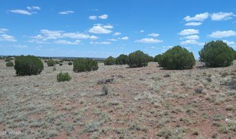 Tbd Ranch of the White Mountains, Concho, AZ 85924