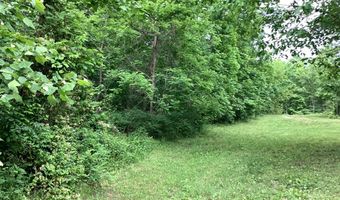 951 County Road 206, Alton, MO 65606