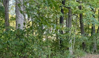 5681 Springhollow Ct, Avon, IN 46123