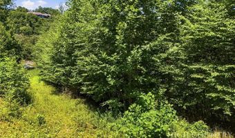 Laurel Ridge Lane lot 1, Banner Elk, NC 28604