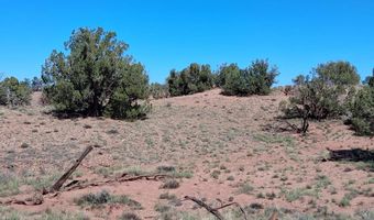 268 N 5380, Concho, AZ 85924