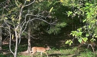 375 Middle Creek Rd, Afton, TN 37616