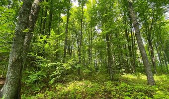 NEAR SCHMIDT LN, Argonne, WI 54511